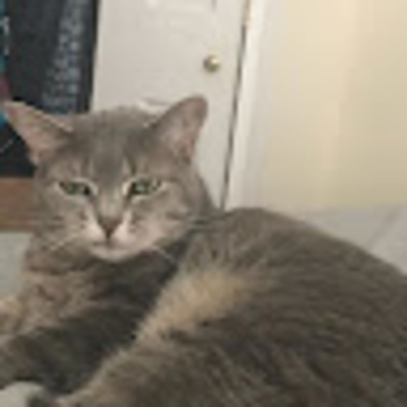 Meet your Posher, Steven - Picture 1 of 1